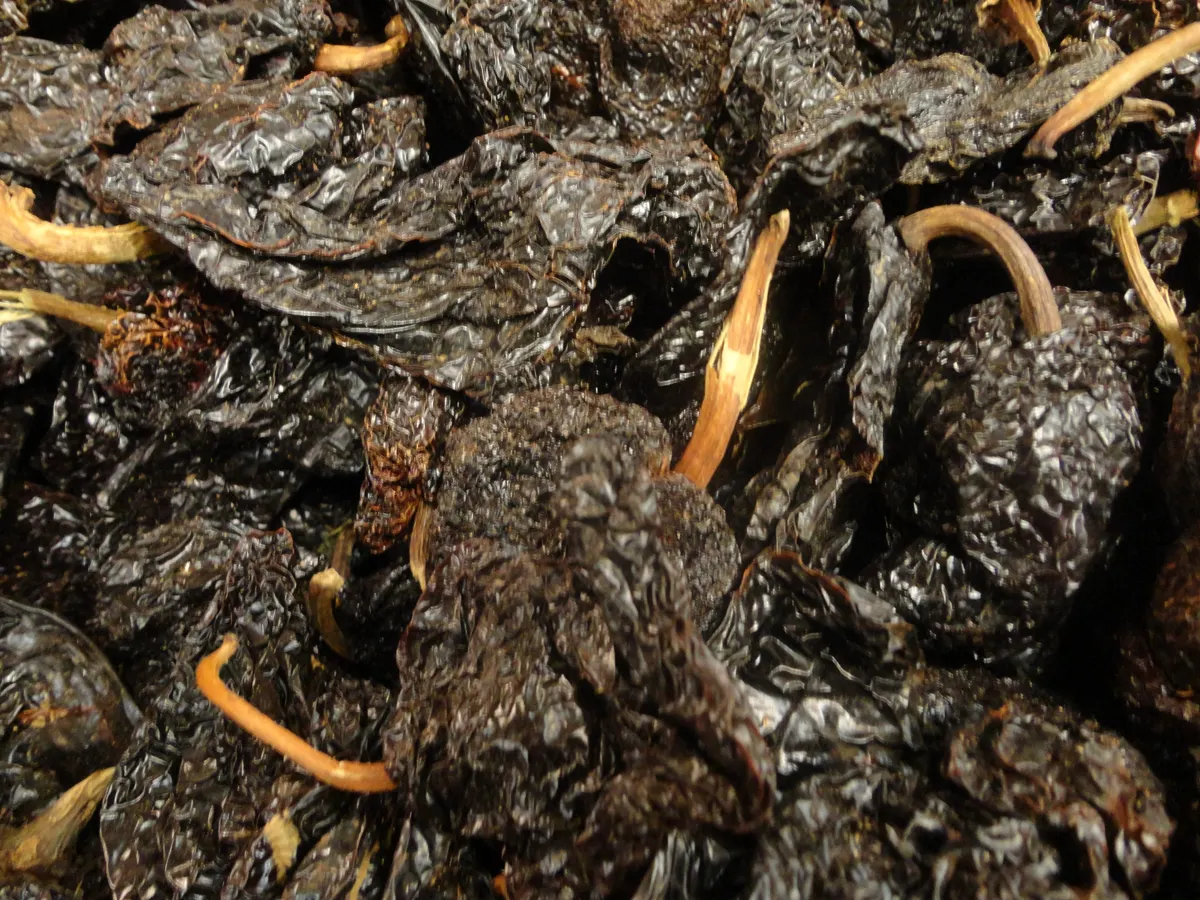 A close field of broad dark dried ancho chile pods - ancho chile as a chipotle powder substitute | KnowTheSpices
