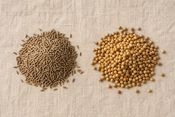 Mound of ridged brown cumin seeds beside a mound of round pale coriander seeds on natural linen