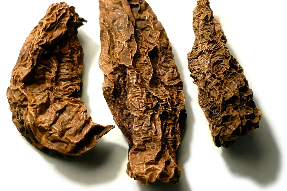 Chipotle Powder Substitutes for Smoke and Heat