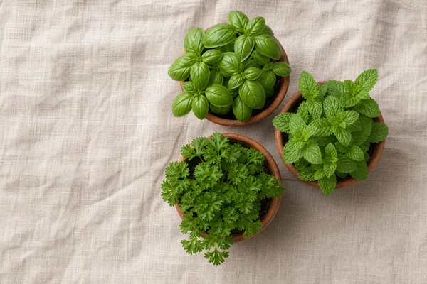 Starting an Indoor Herb Garden That Actually Survives