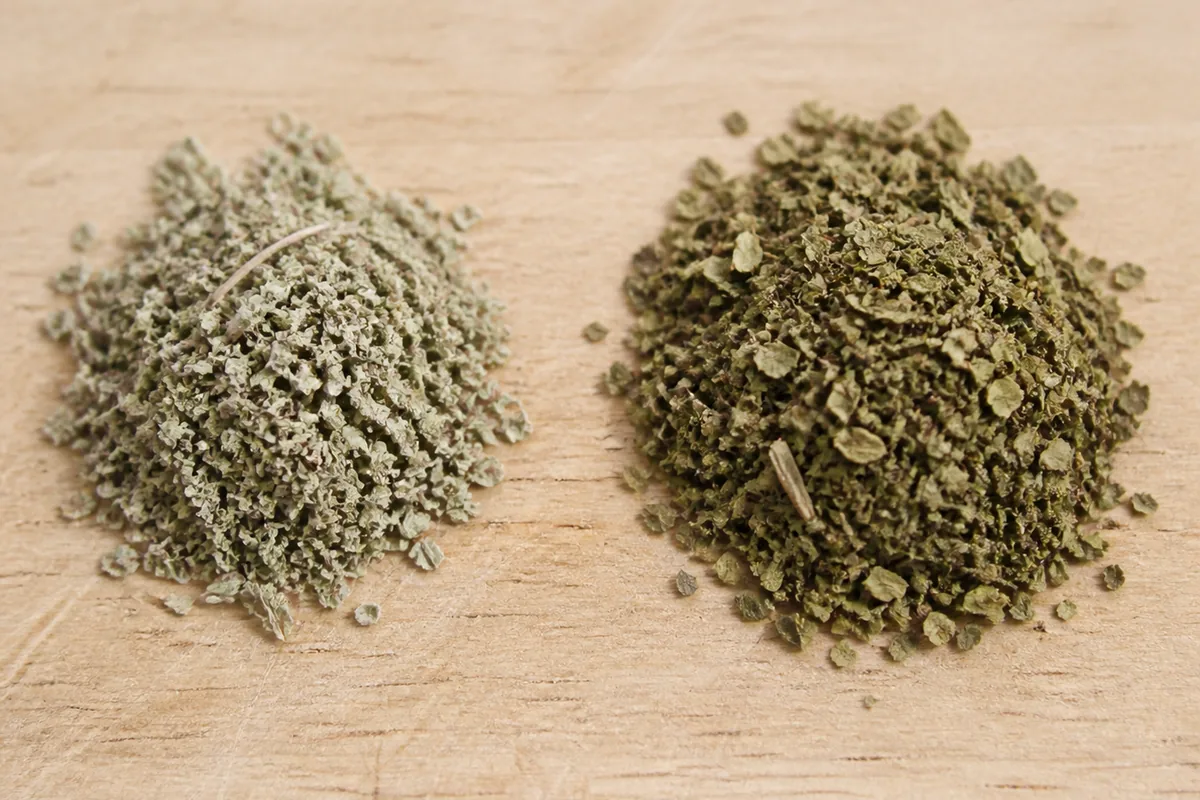 Pale faded dried marjoram beside darker coarser dried oregano on a wooden board - dried marjoram compared with dried oregano | KnowTheSpices