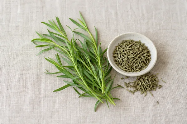 Tarragon: Why the Plant You Bought Has No Flavor