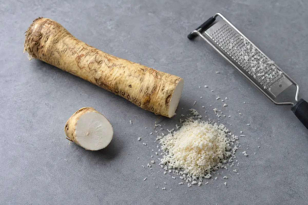Whole horseradish root beside a freshly cut and finely grated section - horseradish root reaction | KnowTheSpices