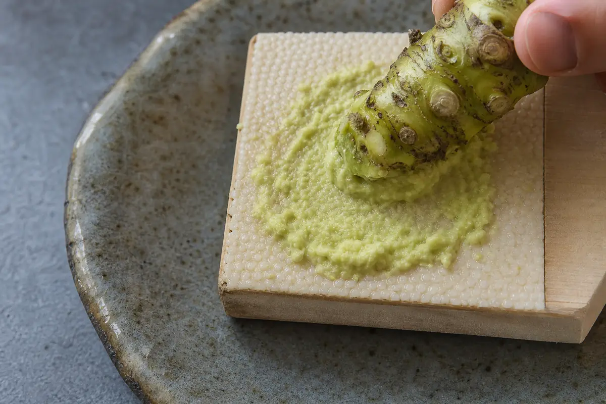 Fresh wasabi rhizome rubbed in circles on a fine grater with pale green paste gathered below - grating real wasabi | KnowTheSpices
